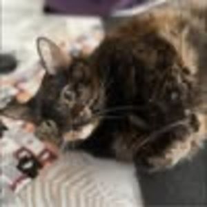 Meet your Posher, Josiane